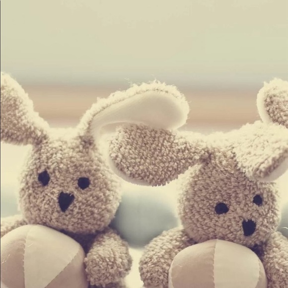 Meet your Posher, Viv - Picture 1 of 1